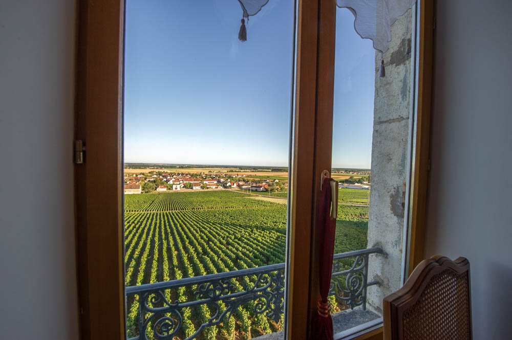 vus magnifique vignes beaune nuits saint georges